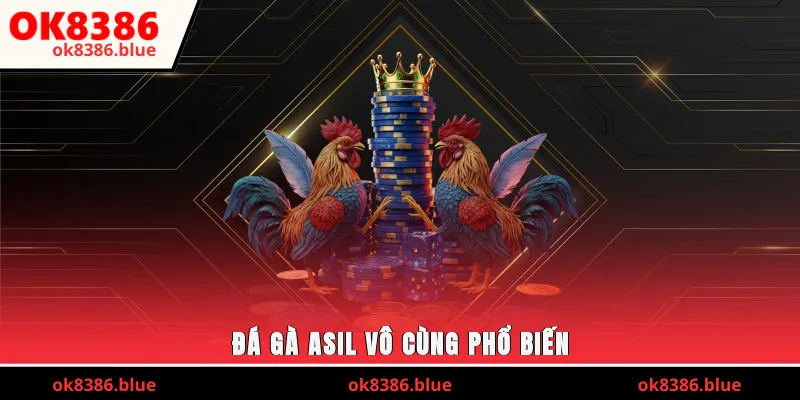 Đá gà asil vô cùng phổ biến